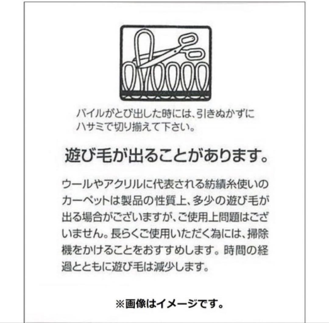 メタモン　ラグ　ぽこあポケモン