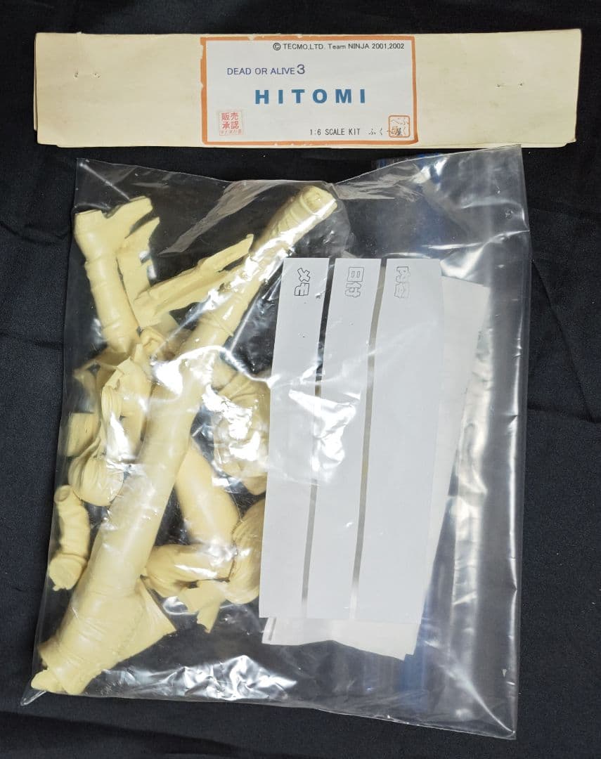 ふくべ屋 DEAD OR ALIVE ヒトミ 1/6 ガレージキット