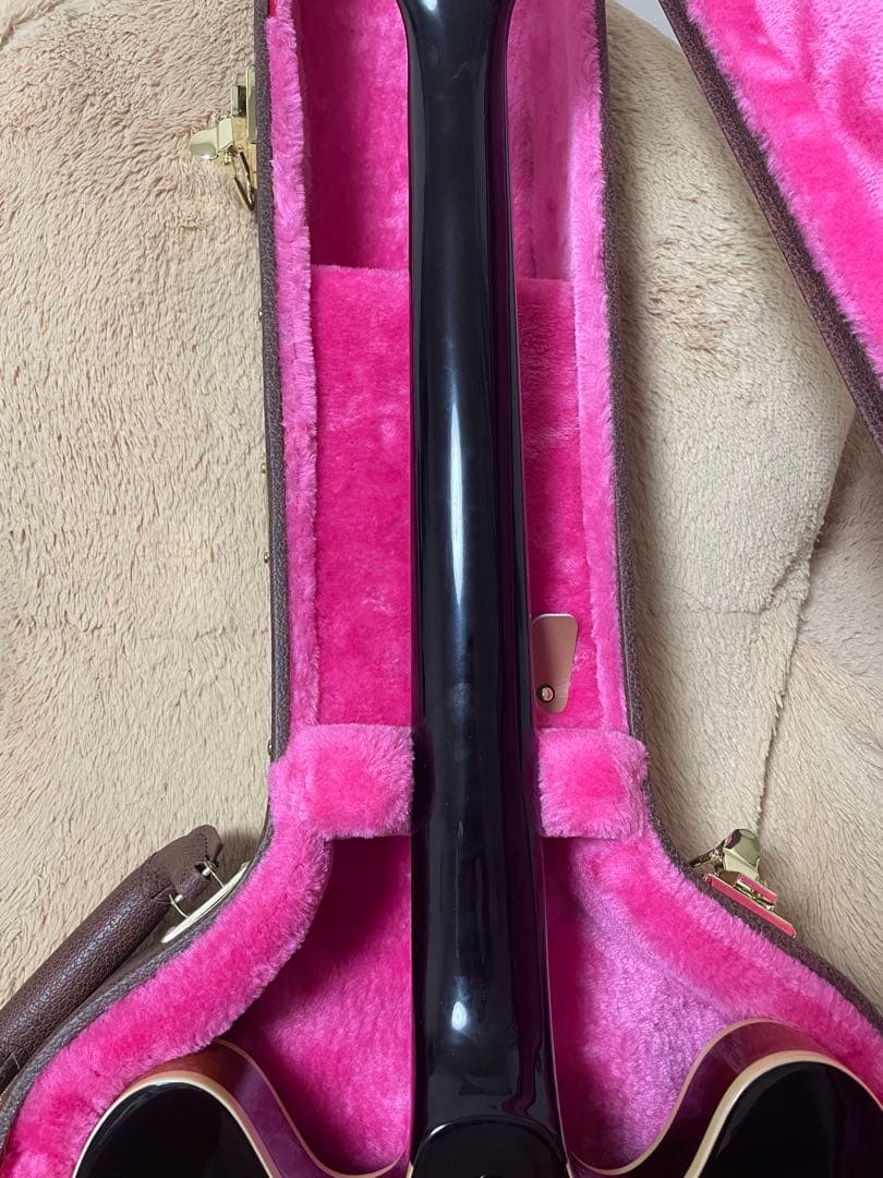 Epiphone dot セミアコ　ハードケース付き