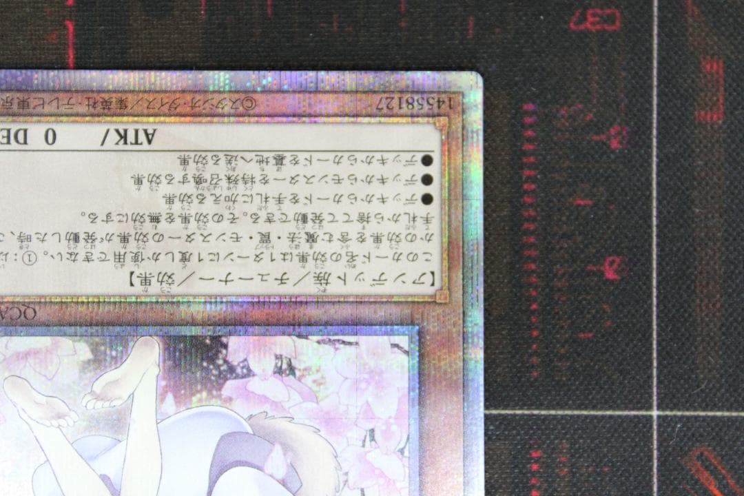 遊戯王 灰流うらら QCSE 37-JD0619-02C