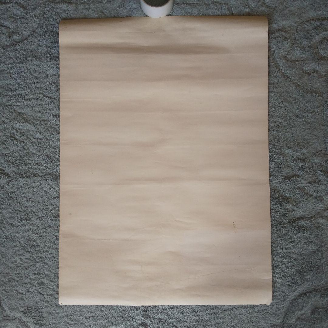 〖希少〗オリヴィア・ ハッセー 印刷画