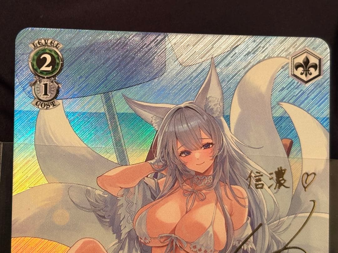 航空母艦　信濃　sp