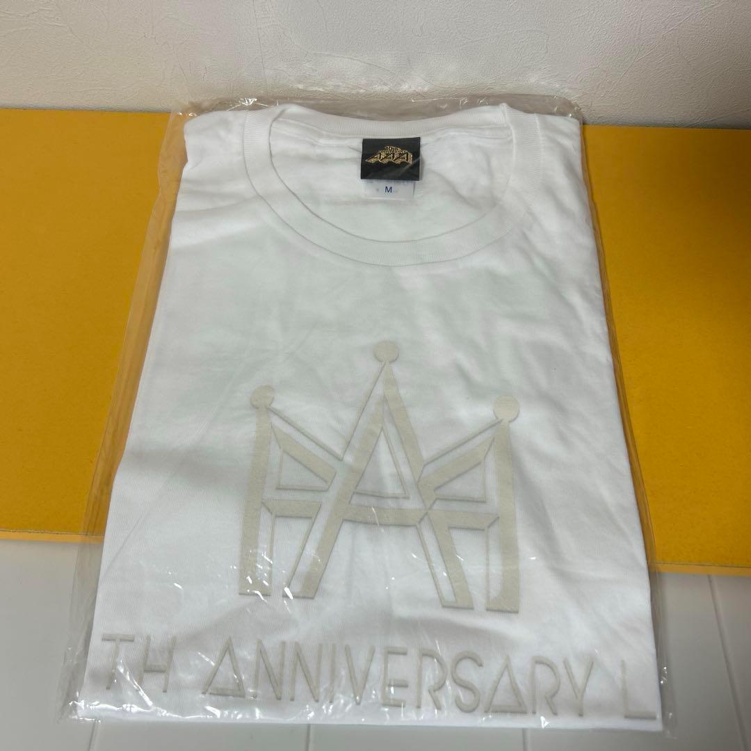 AAAグッズ 15点まとめ売り 「パンフ、ファイル、タオル、Tシャツ、他」