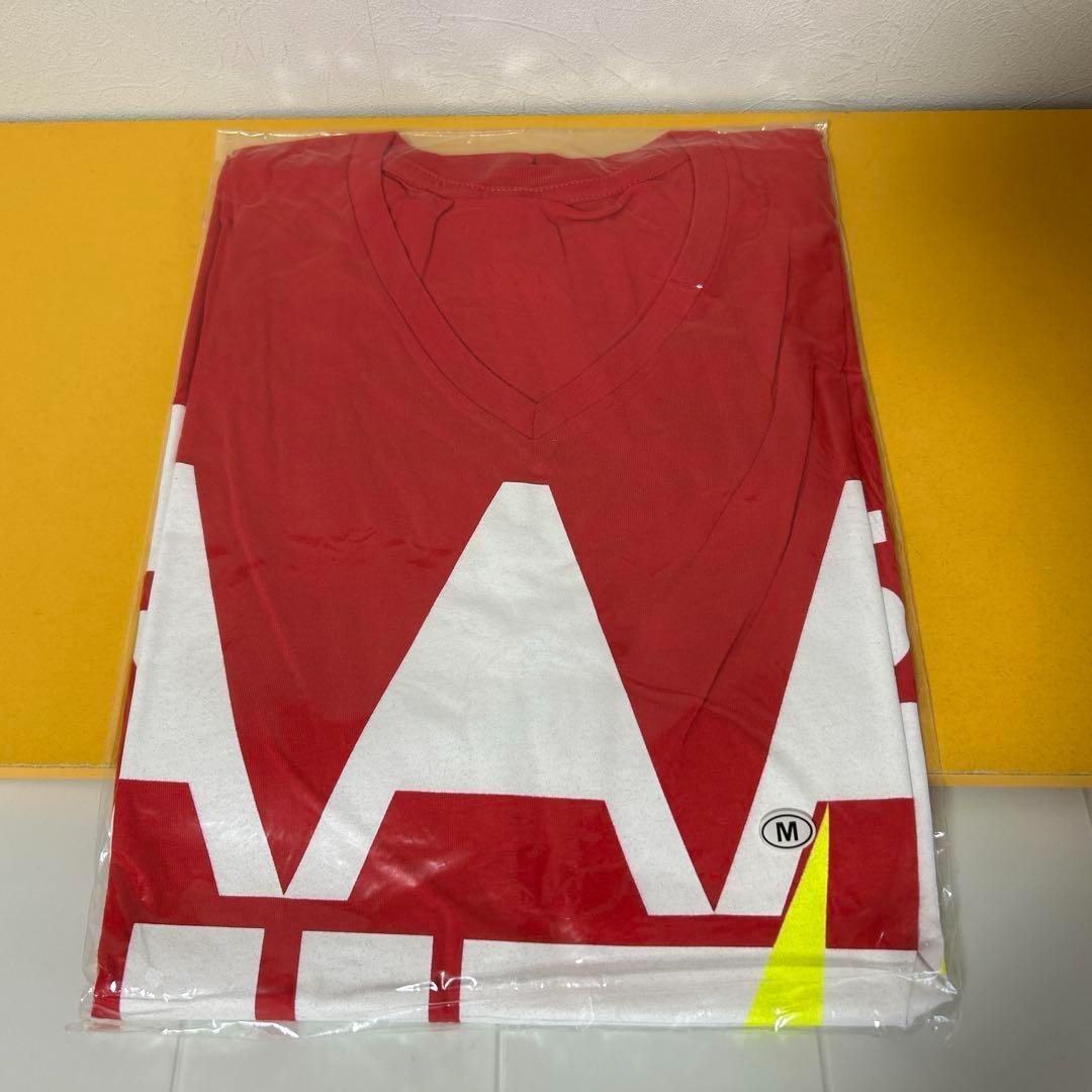 AAAグッズ 15点まとめ売り 「パンフ、ファイル、タオル、Tシャツ、他」