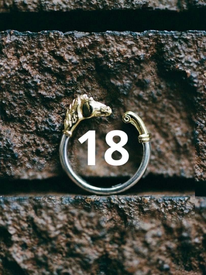 Llife CHEVAL RING 18号 - メルカリ