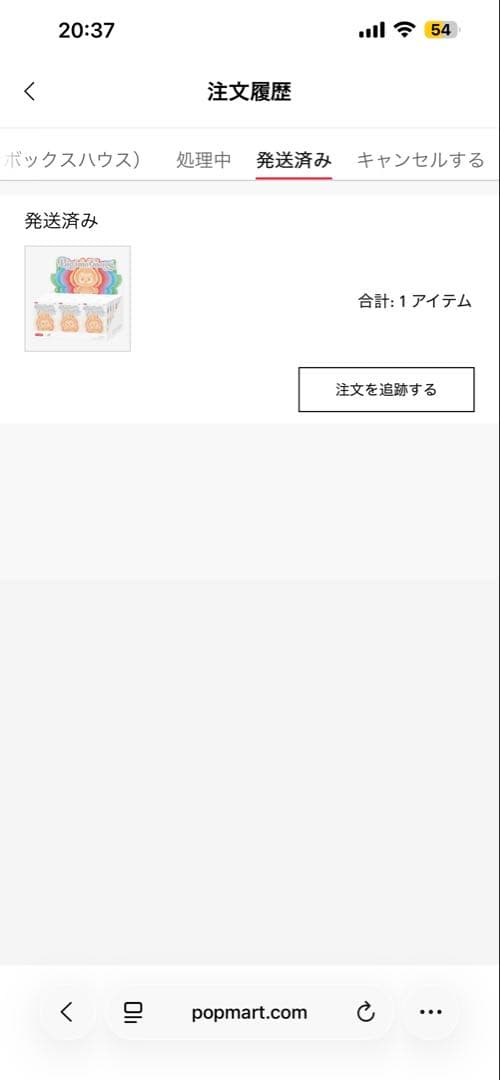 ラブブ エナジー LABUBU シークレット POPMART