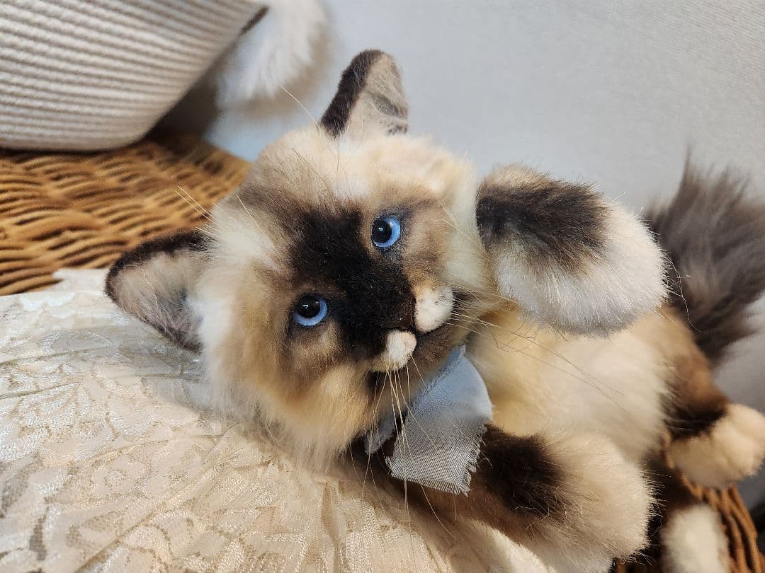 猫 海外作家 リアル アートドール ブライス テディベア