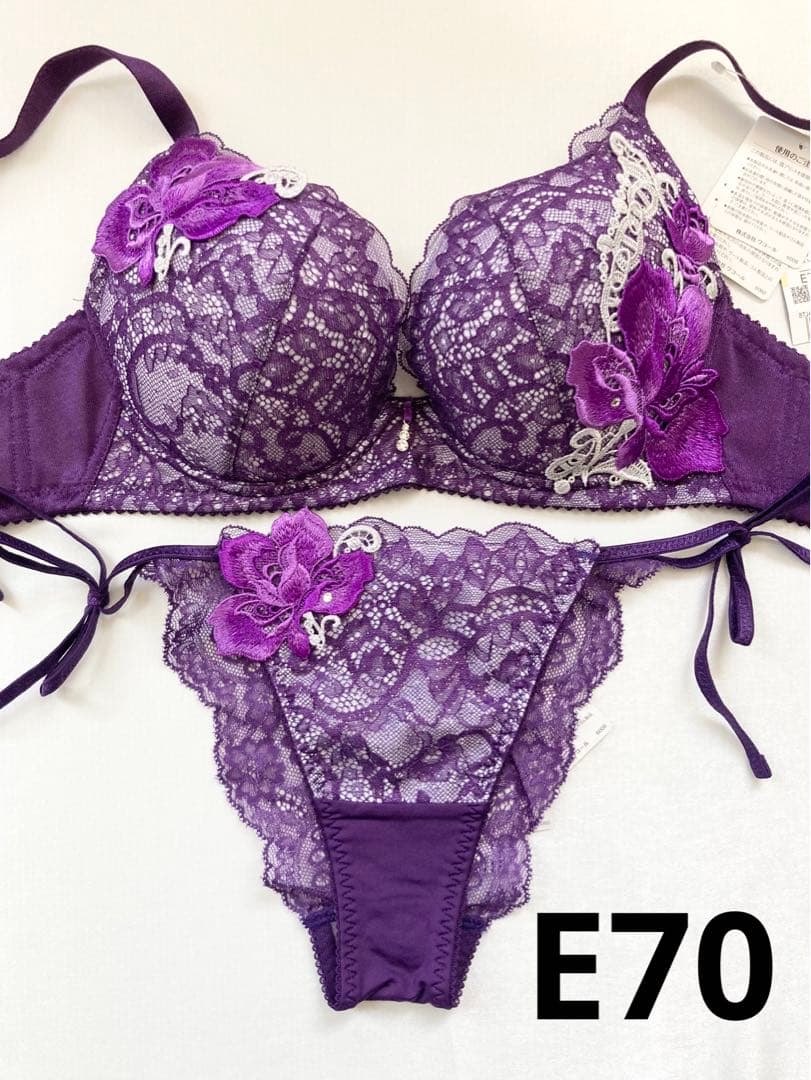 新品　ワコール　サルート　95G E70 ソングM VI サルート（SALUTE） ワコール wacoal salute PTJ493 93シリーズ