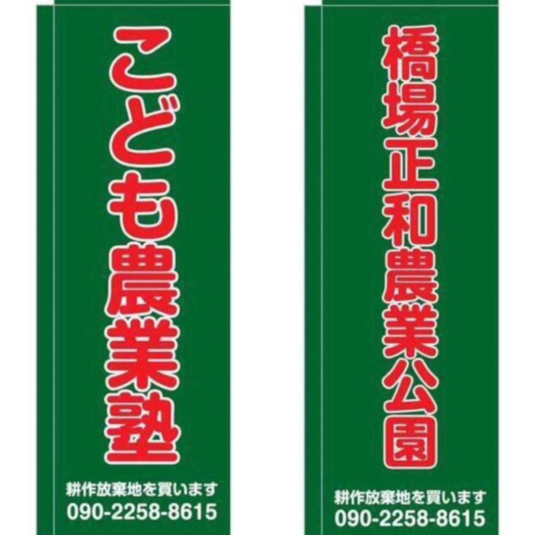 花乙女コレクション【西脇順三郎 花と人物】購入金額より60％お値引き