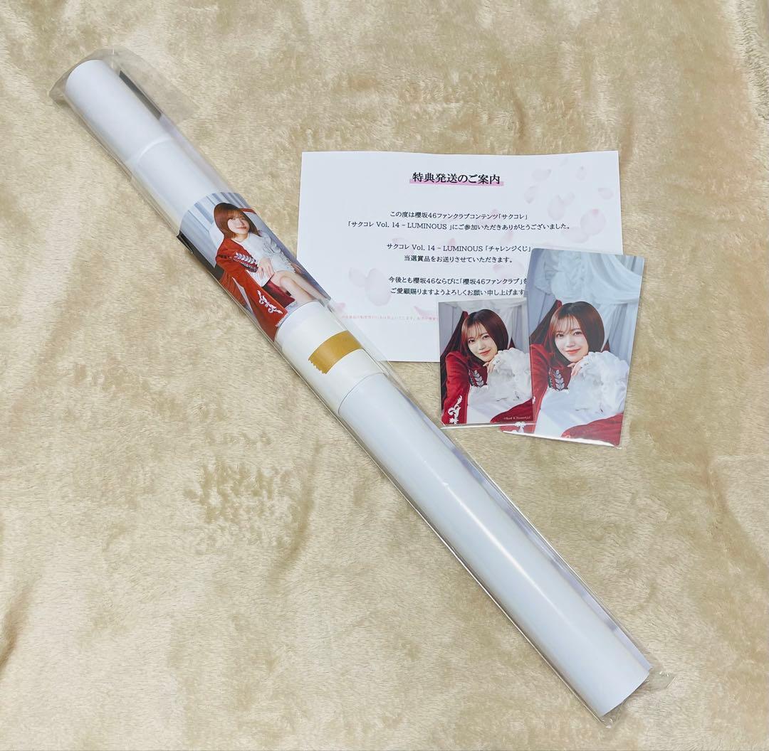 櫻坂46 松田里奈 サクコレB2ポスター 7月 サクコレカード ステッカー