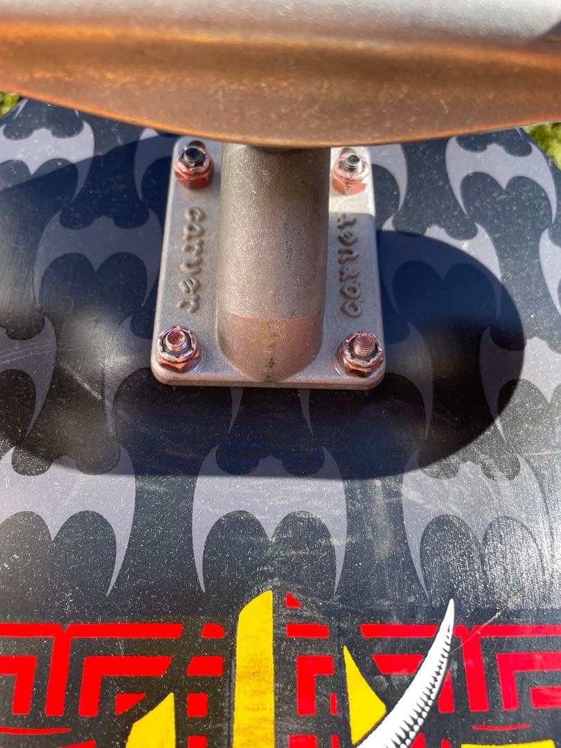 【本日20:00まで大セール】CARVER＆Powell Peralta