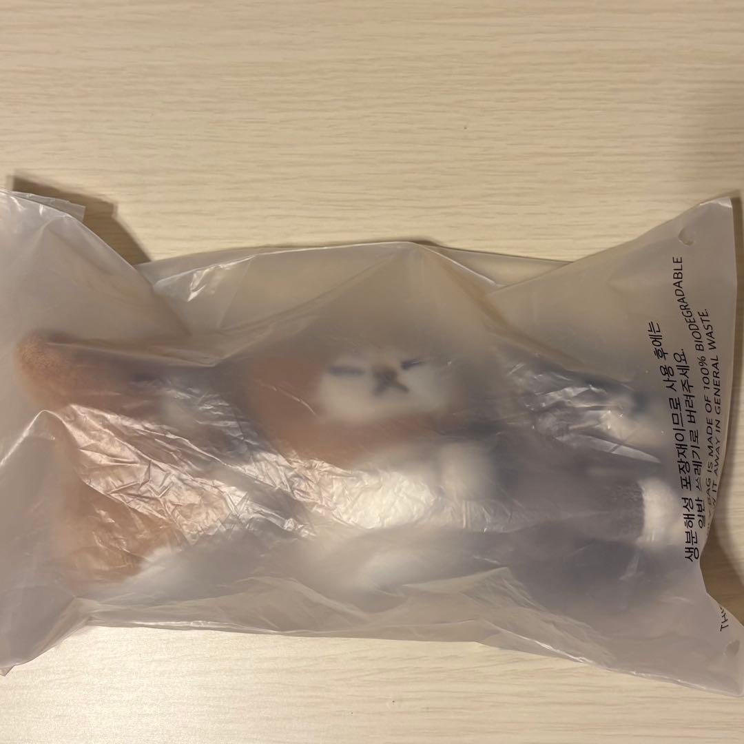 stray kids スキズ メンプロ リノ スンドゥンドリ キーリング ♡StrayKids スキズ メンプロ リノ スンドゥンドリ キーリング♡セット