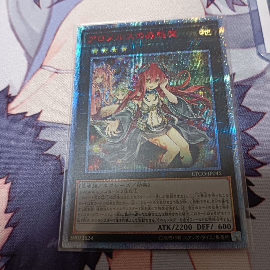 遊戯王  アロメルスの蟲惑魔  20thシク