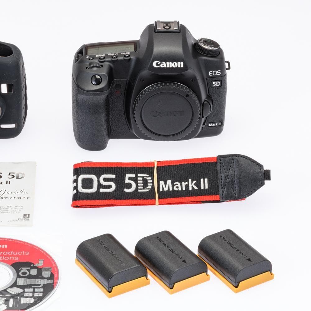 激レア！ショット数僅か734 極上動作品！ Canon 5DMARKⅡ付属品多数