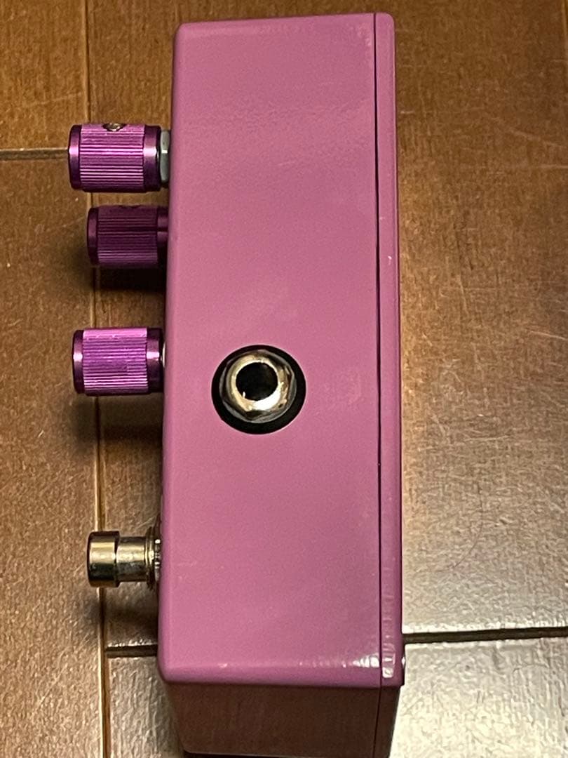 ギター Wren and Cuff Garbage Face Jr J mascis