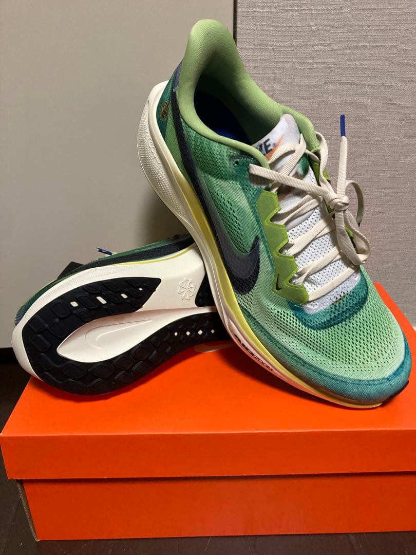 NIKE ペガサス 41 SE マルチカラー 29.5cm 新品未使用