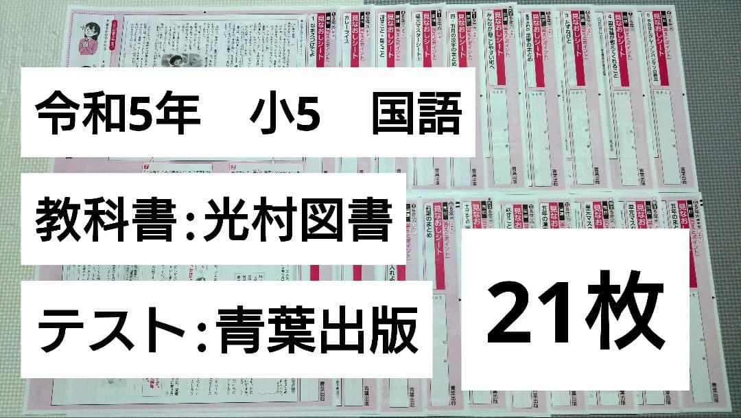 小学校5年 小5 小学5年 国語 カラーテスト 答えたしかめシート - メルカリ
