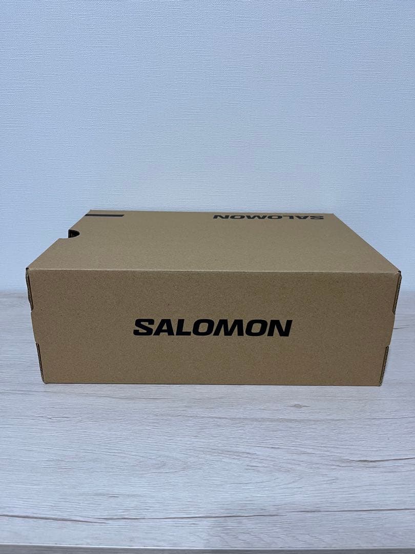 SALOMON XA PRO 3D シルバー 26.5cm