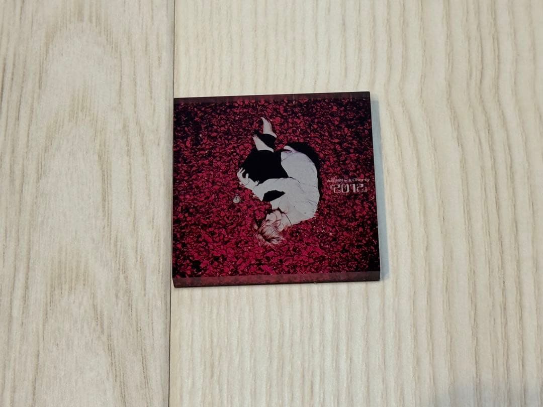 AcidBlackCherry アクリルマグネット