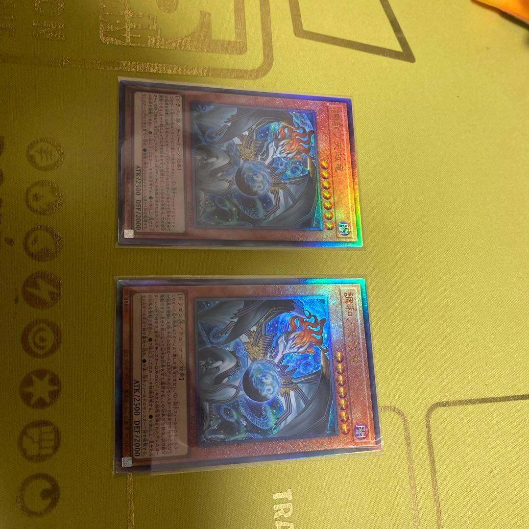 調和ノ天救竜　フィドラウリス=ハルモニア　レリーフ2枚