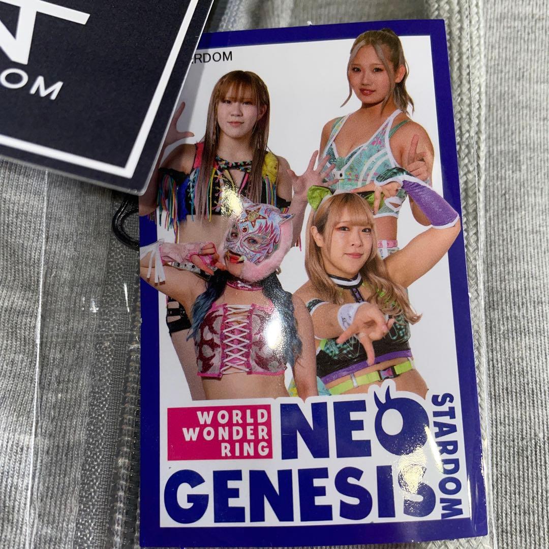 LL スターダム スターライト・キッド AZM ジップパーカー、他 L 3L