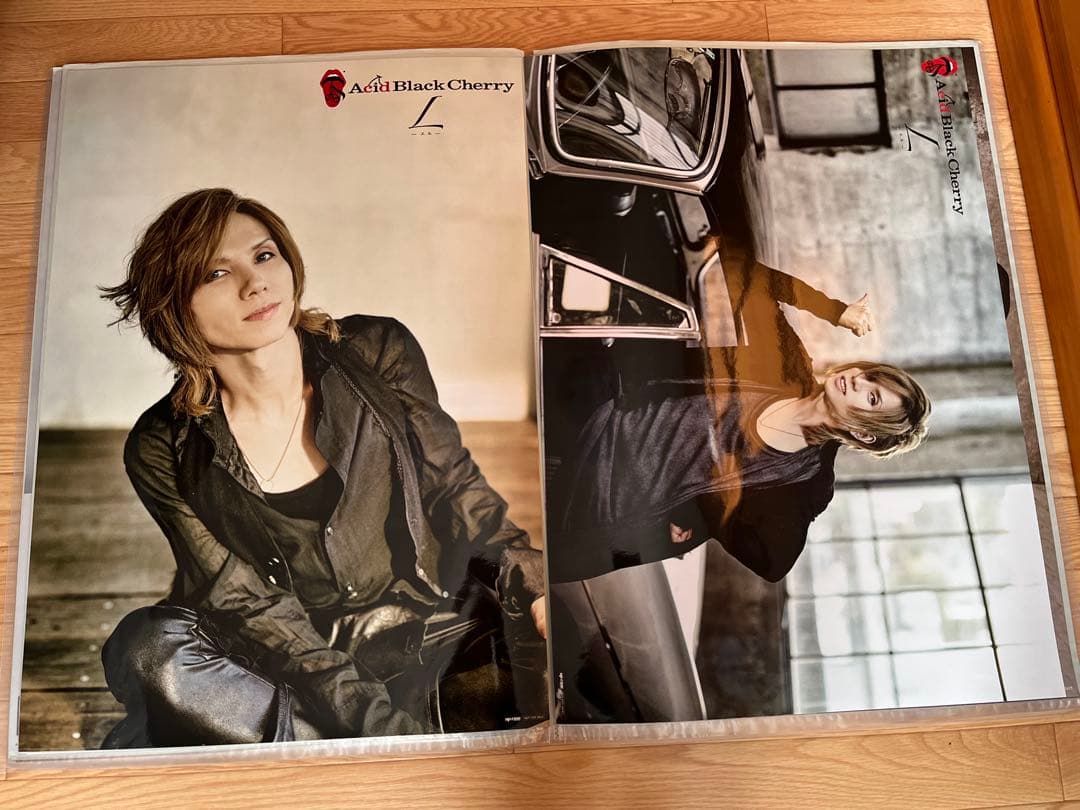 32枚Acid Black Cherry CD予約特典・ツアーポスター　②