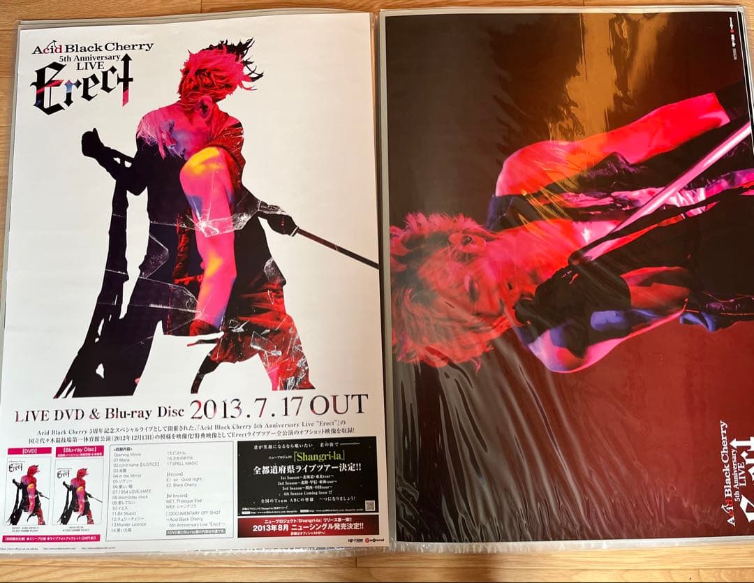 32枚Acid Black Cherry CD予約特典・ツアーポスター　②