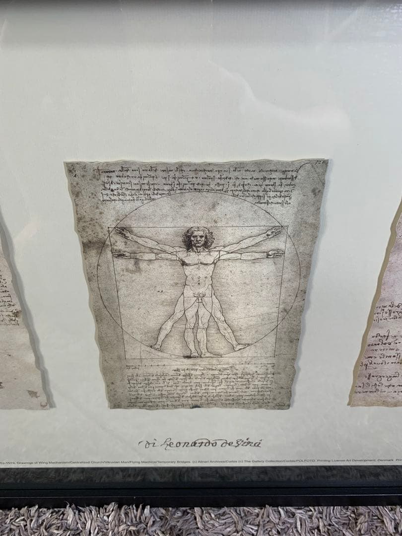 【希少・廃盤品】IKEA OLUNDA レオナルドダヴィンチ 壁掛けアート