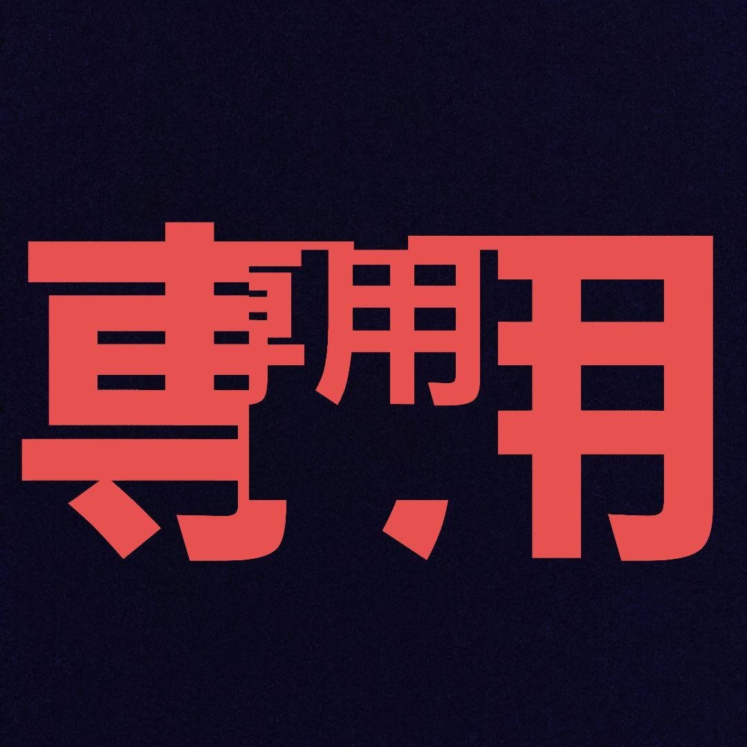 YU1103JPSSD512GB レッツノート CF-FV1 Sales Portal Site - BP Platinum