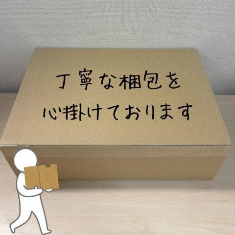 Holy Stone ドローン 100g未満 小型 1080Pカメラ こども向p