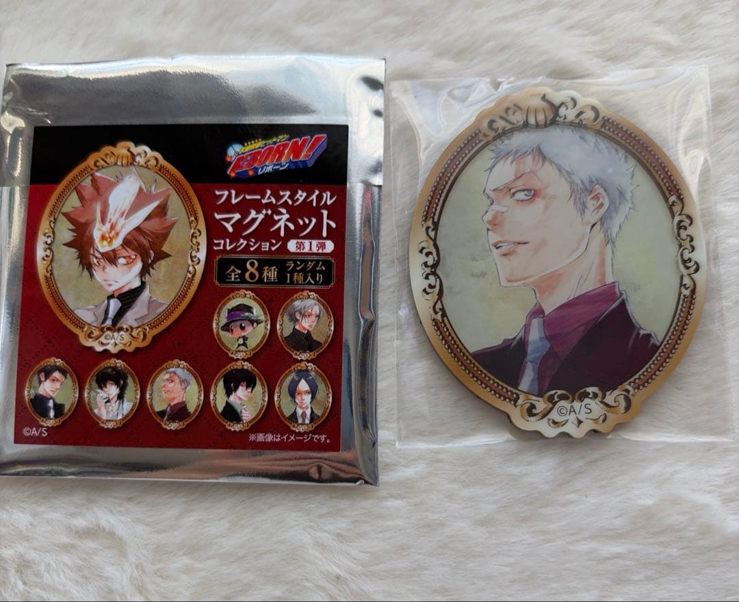 家庭教師ヒットマンREBORN! フレームスタイルマグネットコレクション