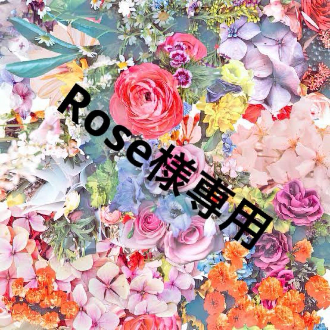 ファンデーション Rose ザ スキンケア ファンデーション / ADDICTION(リキッド