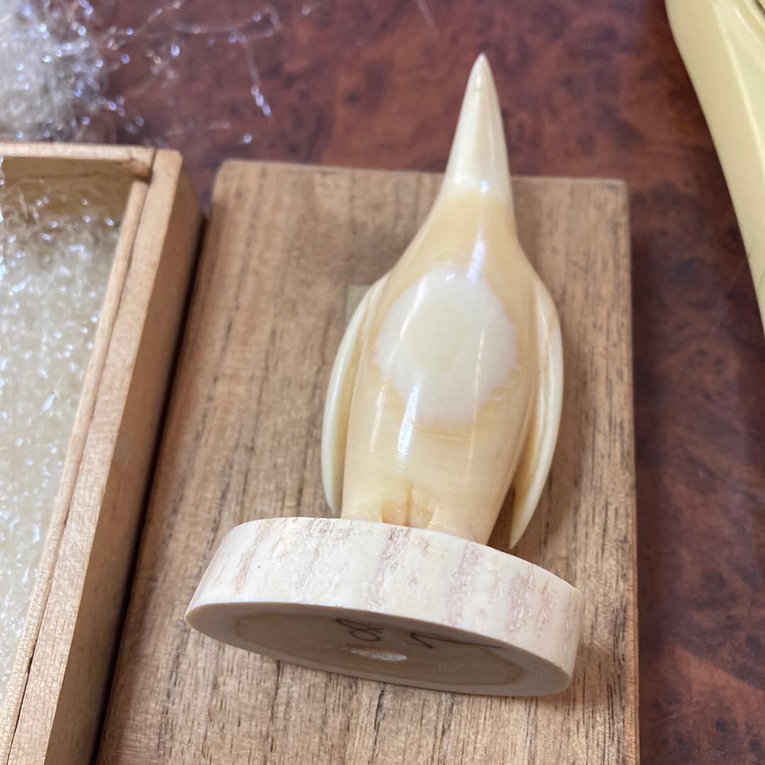 ペンギン マッコウクジラ 歯 クジラの歯 抹香 鯨 (81g)専用箱付き