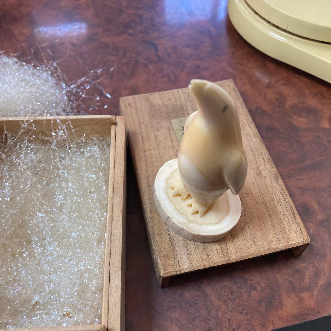 ペンギン マッコウクジラ 歯 クジラの歯 抹香 鯨 (81g)専用箱付き