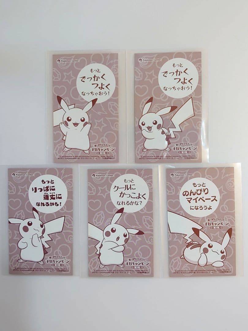 メガキャンペーン第1弾 名刺カード 5種セット メガシンカ ポンチョ