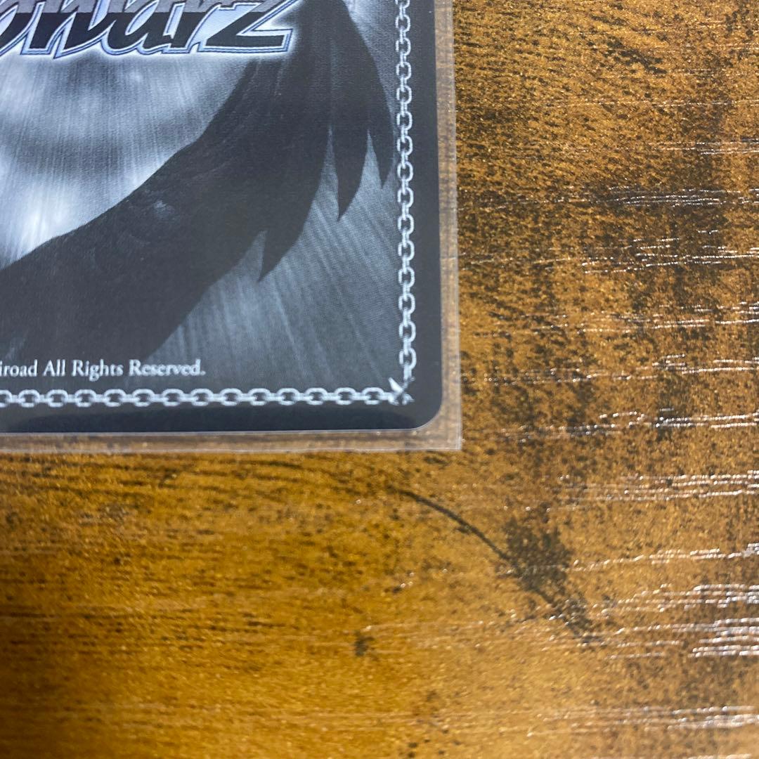 ヴァイス バンドリ Perdere Omnia オブリビオニス SP サイン