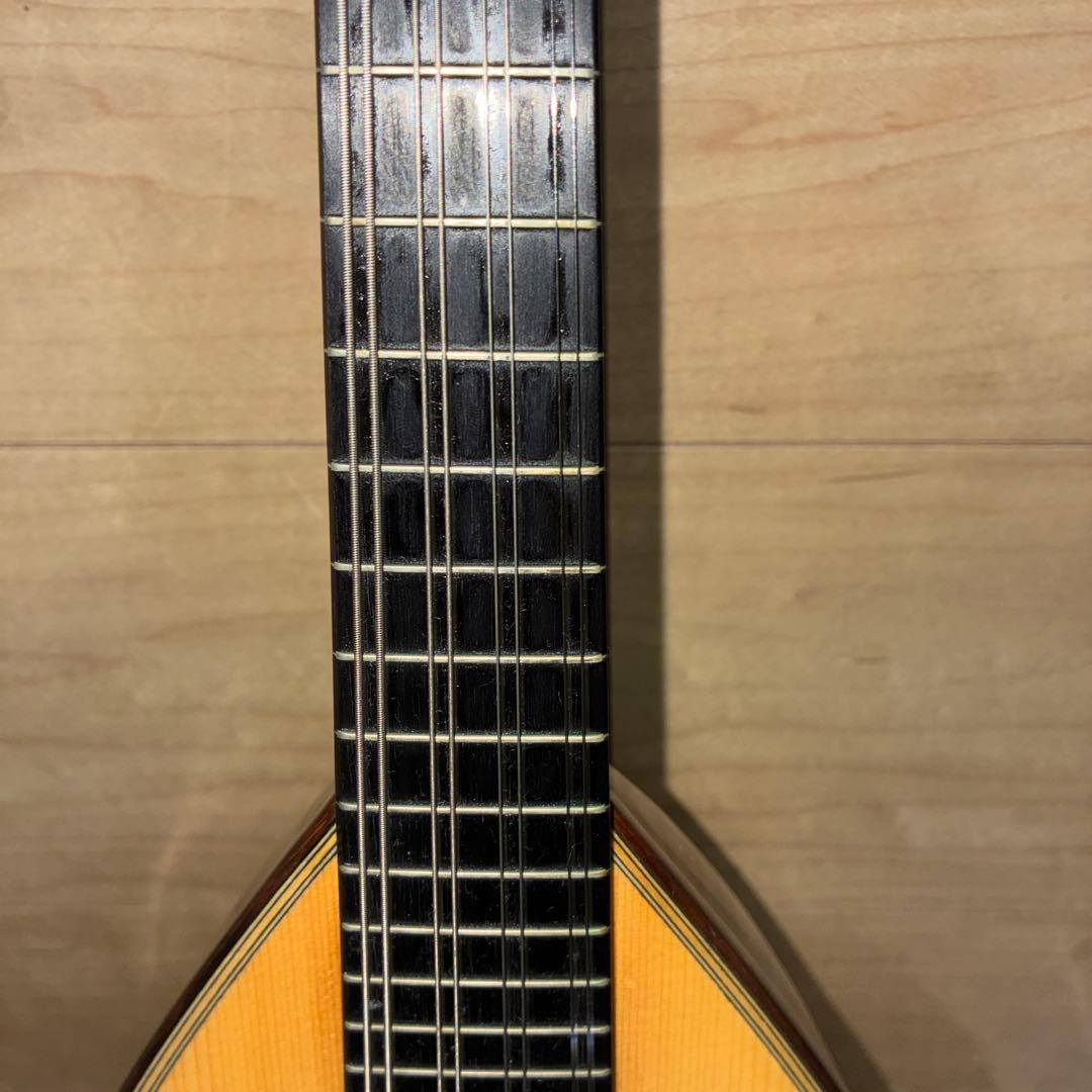 TSUNEO FUJIMARU MODEL ikegaku ANNO マンドリン|mercariメルカリ官方