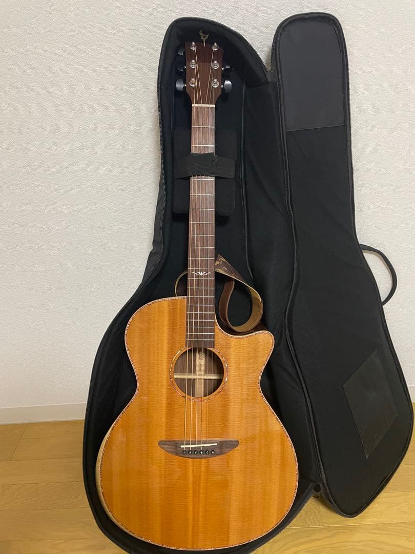 エレアコギター DCT GR742CE