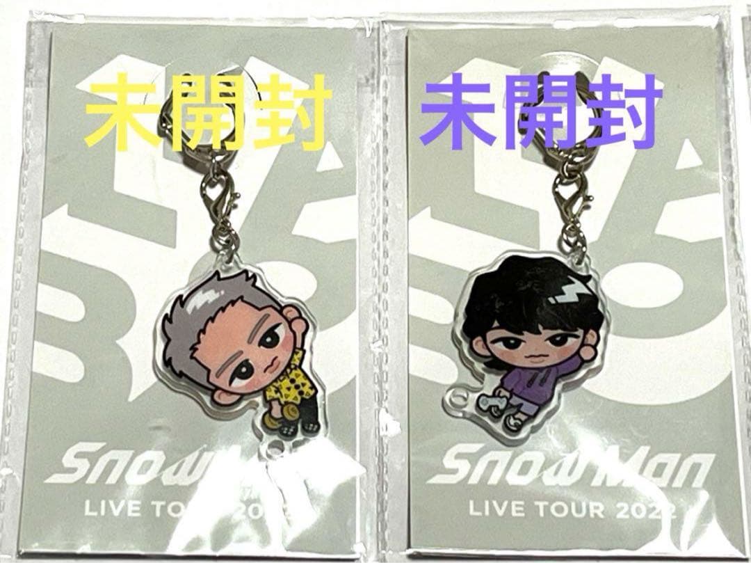 SnowMan すのチル キーホルダー 全員 9人 スノちる 渡辺翔太 目黒蓮