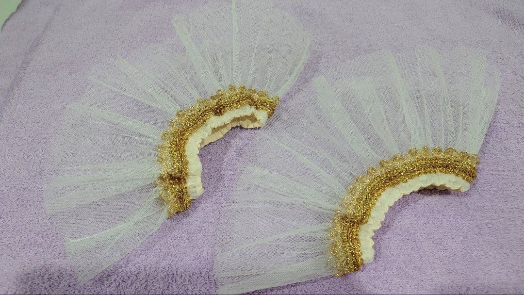 オーロラ姫、ライモンダ、森の女王】 チャコットバレエ衣裳 美品・新品