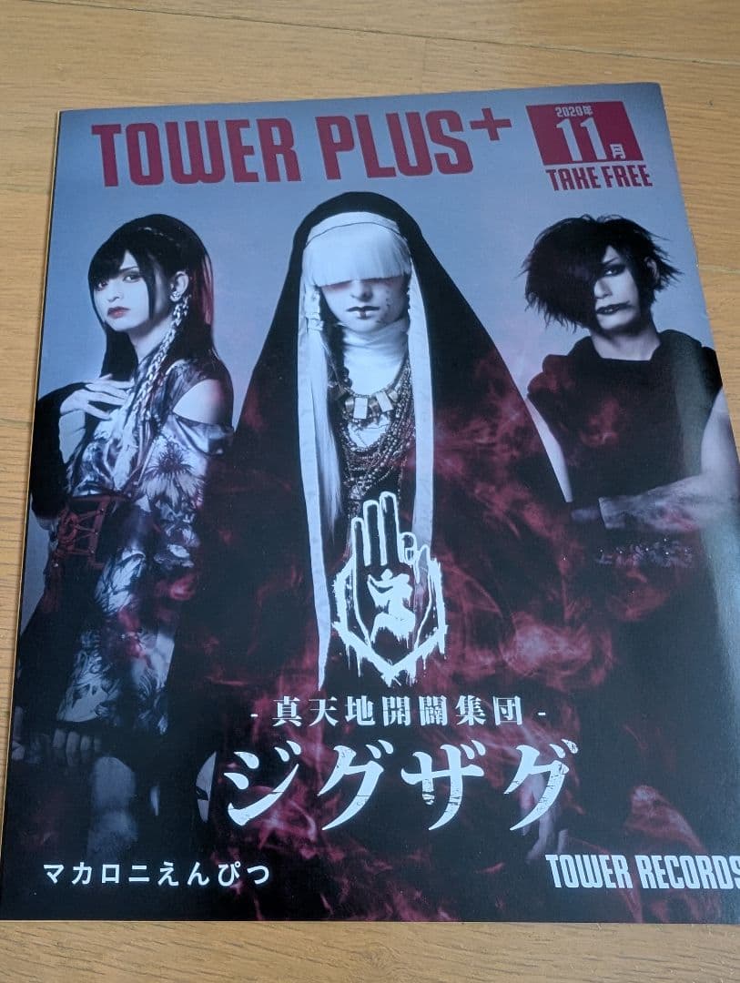 -真天地開闢集団-ジグザグ 会報 雑誌 まとめ売り