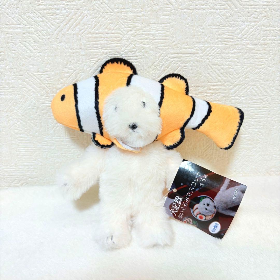 モーリーファンタジー限定 犬記録 ぬいぐるみマスコット クマノミ