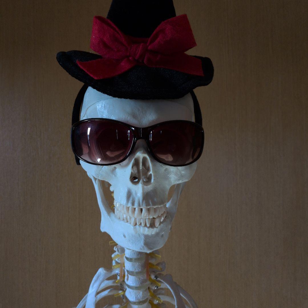 等身大人体骨格模型　 ハロウィン装飾　ドッキリなどにどうぞ！