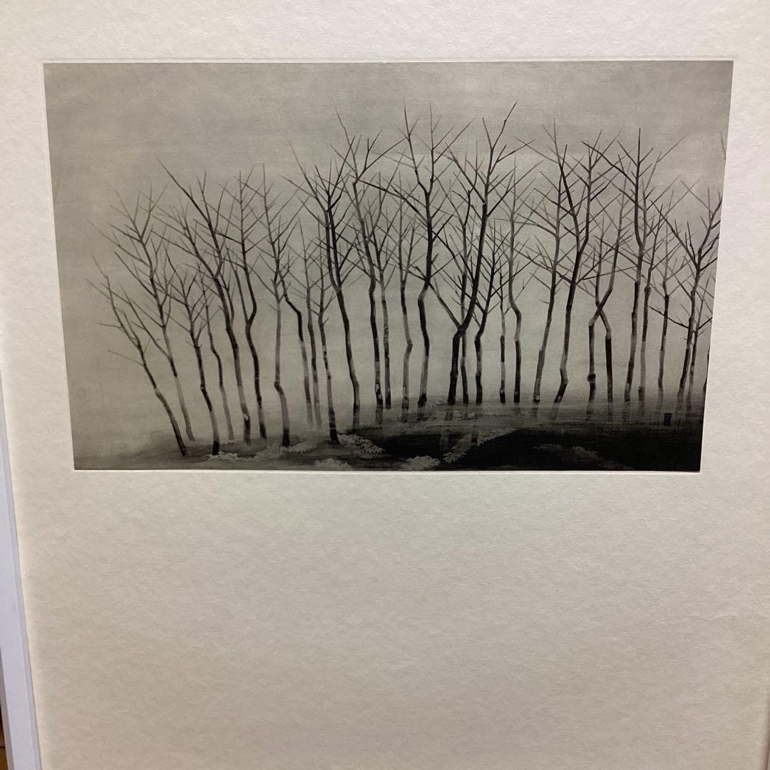 天才画家　速水御舟　作品集大作編　便利堂監修　画集NO 34 【寒　林】