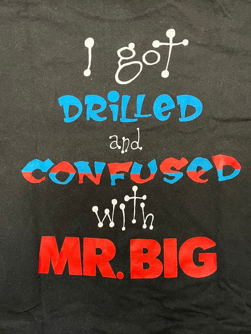 1992年MR.BIG ミスタービッグ　ツアーTロックTヴィンテージT