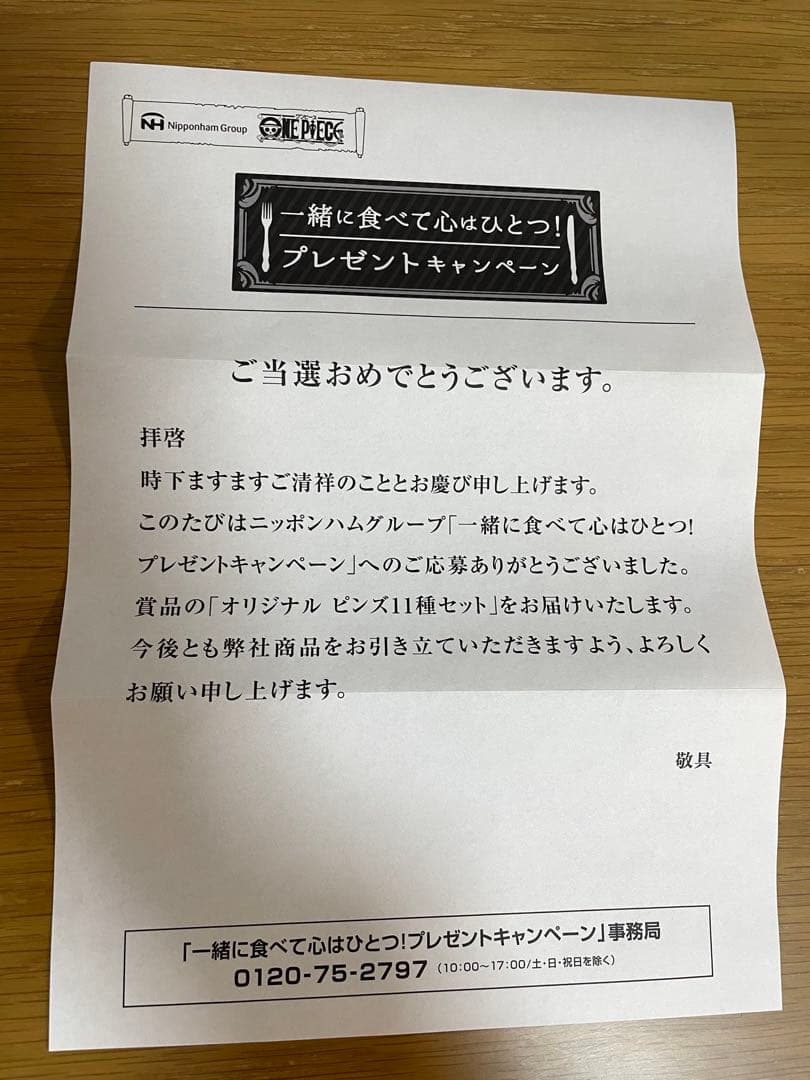 ワンピース　ピンズ11種セット