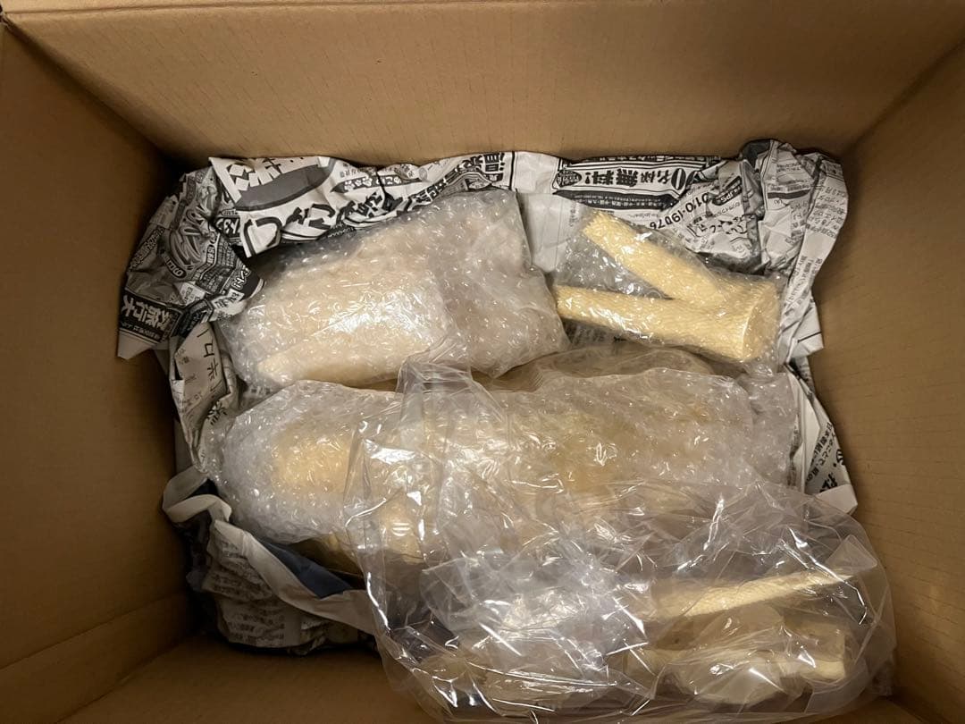 キングギドラ　レジンキットimage製