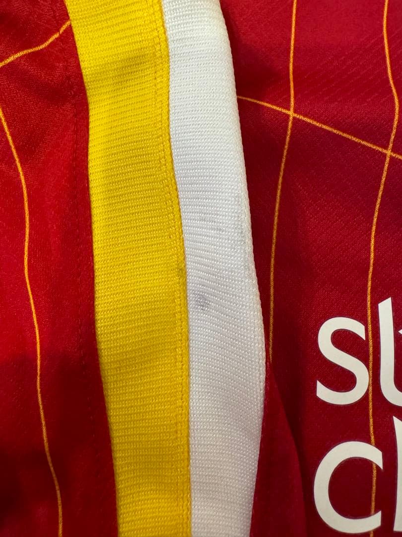 本人サイン写真有り】フェルナンド・トーレス 直筆サイン入 LFC 24/25