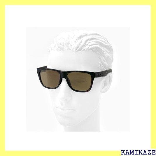 《＃アウトドアⅣ》 SMITH アウトドア キャンプ フィ ングラス スミ 46