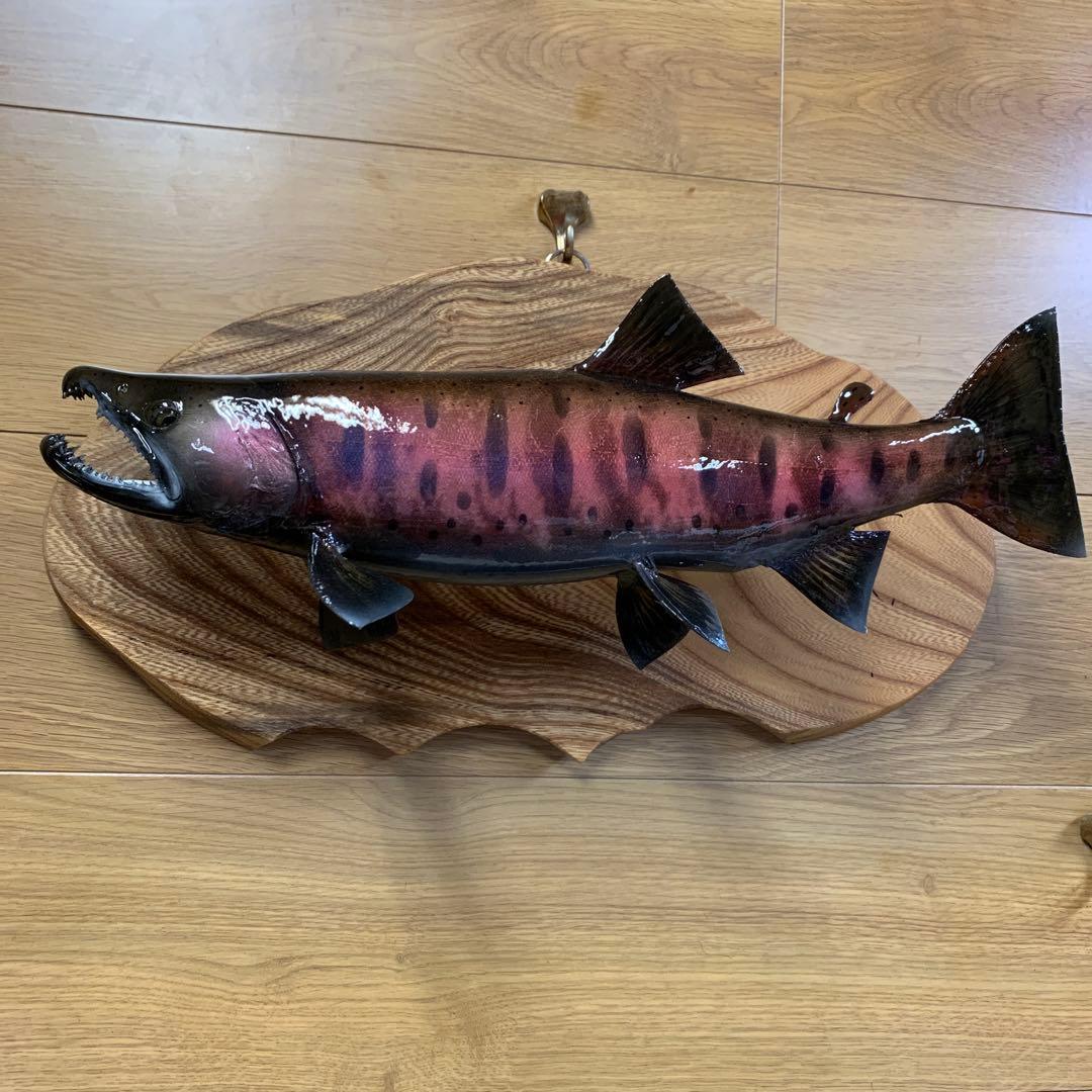 剥製エフクラフト　最終形態鼻曲がり雄43センチパーマーク